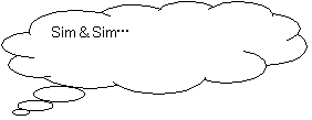 _`o: Sim & Simc


