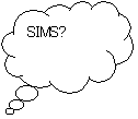 _`o: SIMS?